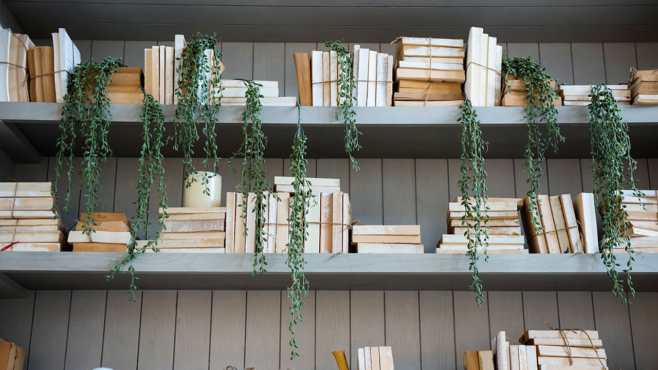 خرید کتابخانه خانگی